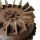 Chocolate Stampede Cake